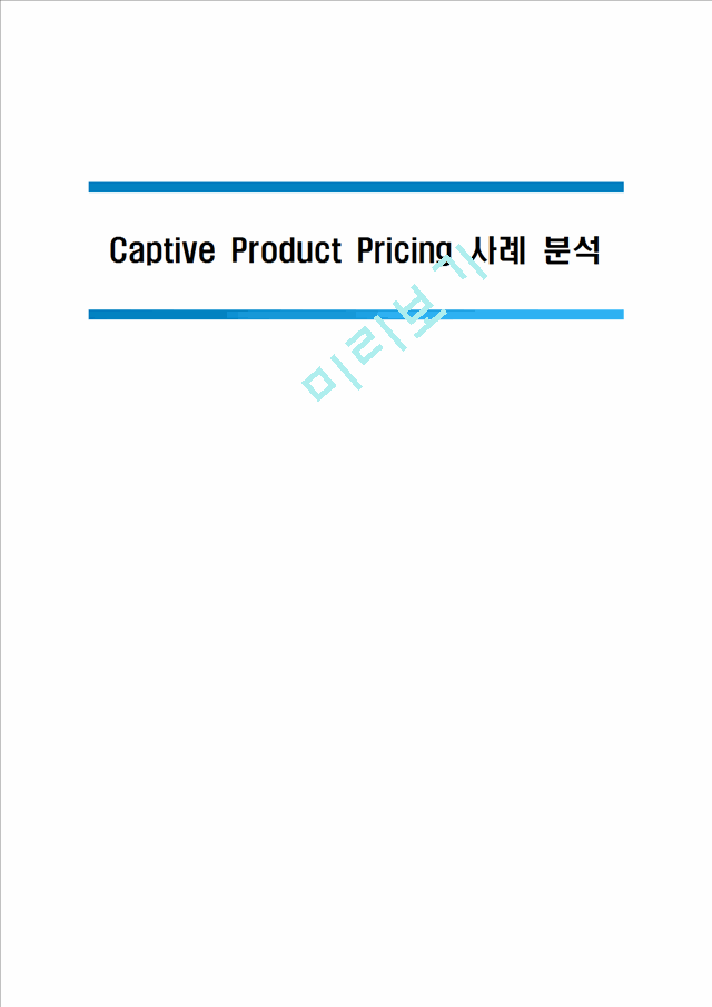 [1000원] Captive Product Pricing 사례 분석,제품믹스가격전략분석.hwp